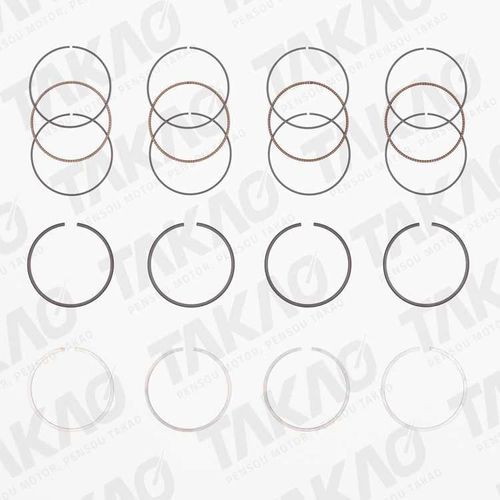 Anel Motor - ASRE21X/0,50 - Takao Motor - Duster