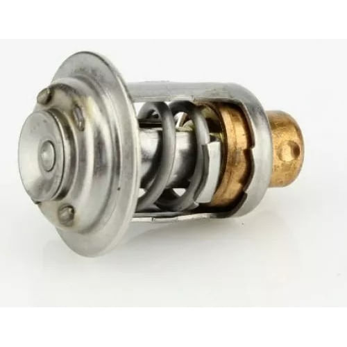 Termostato Evinrude Johnson Original 5005440 Válvula 143ºf