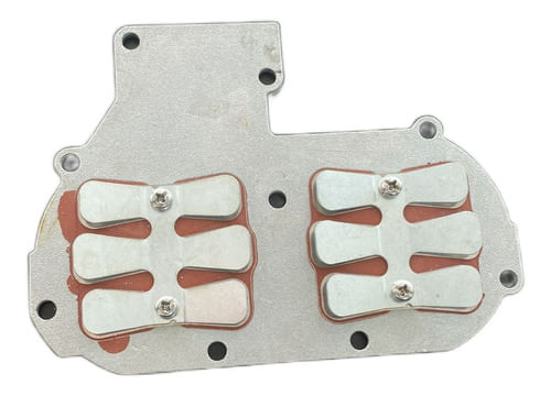 Conjunto Válvula Palheta Motor Popa Yamaha 25hp 30hp Vm Bm