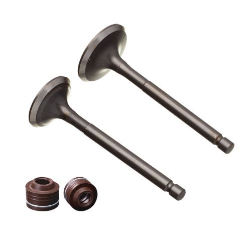 Kit Valvula Admissão e Escape YBR 125 2000/08 Factor XTZ125
