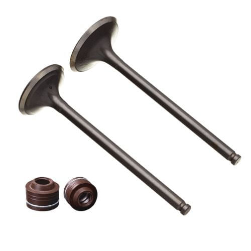 Kit Valvula Admissão e Escape Retentor Titan 125 2002 a 2004