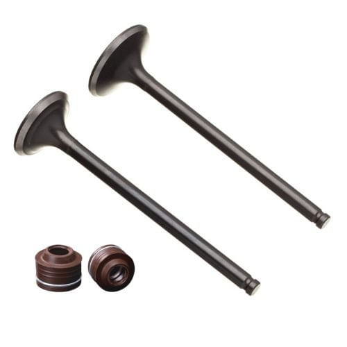 Kit Valvula Admissão e Escape Retentor Fan 125 2009 a 2018