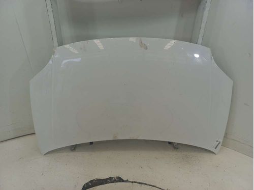CAPO FIAT PALIO 1.6 2014