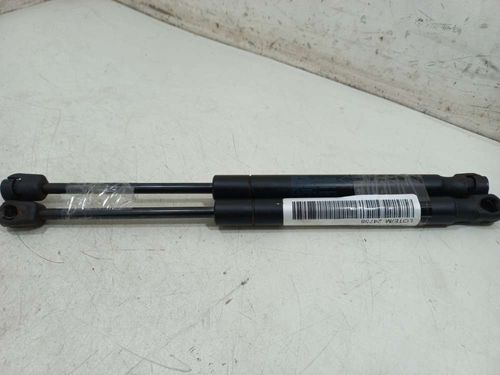 AMORTECEDOR DO CAPO LAND ROVER FREELANDER 3.2 2010