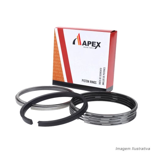 ANEL MOTOR - FORD F1000 4.9