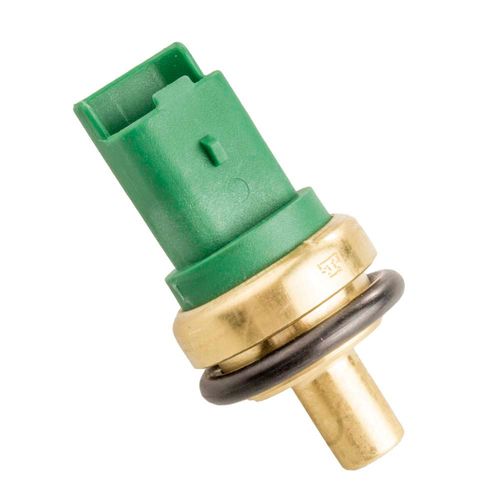Cebolinha Temperatura 207 2007/2008 MTE 4083 VERDE - 78301 - 4083