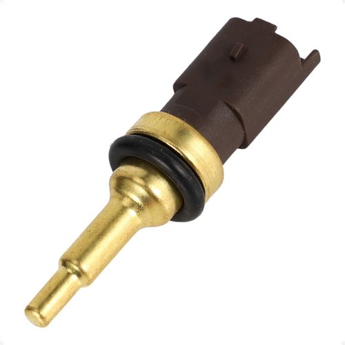 Cebolinha Temperatura 308 2013/2014 - 104124 - 4268