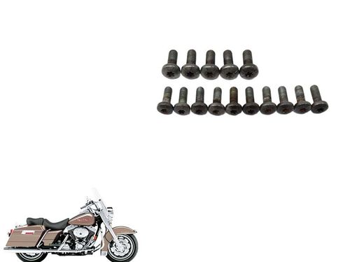 Parafuso Disco Freio Dianteiro Harley-davidson Road King 04-06