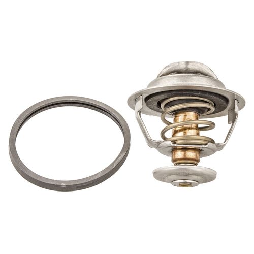 Válvula Termostática Citroen Xsara 1999 a 2003 - 168246 - 113683