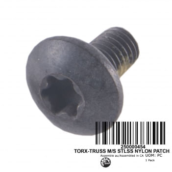 PARAFUSO TORX M6 X 12 (250000454)