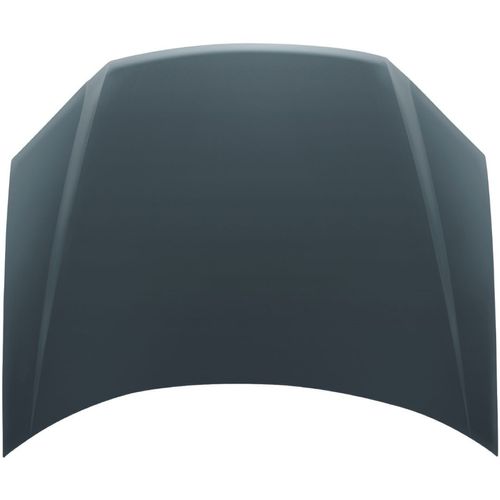 CAPO PALIO 08/ 99223 CAPO PALIO CENTAURO  99223 PEÇA